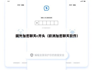 国外加密聊天c开头（欧洲加密聊天软件）