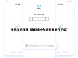 海鸥加密聊天（海鸥安全加密聊天软件下载）