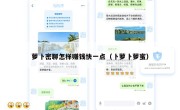 萝卜密聊怎样赚钱快一点（卜萝卜萝蜜）