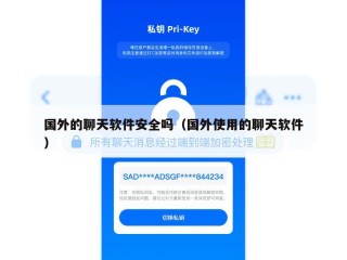 国外的聊天软件安全吗（国外使用的聊天软件）
