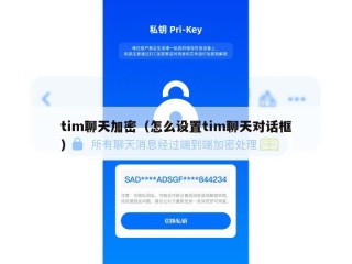 tim聊天加密（怎么设置tim聊天对话框）