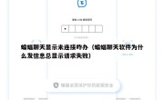 蝙蝠聊天显示未连接咋办（蝙蝠聊天软件为什么发信息总显示请求失败）