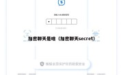 加密聊天是啥（加密聊天secret）