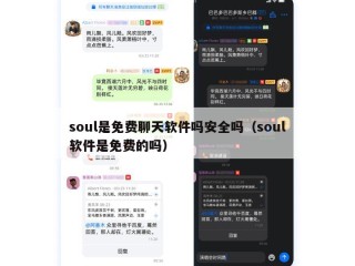 soul是免费聊天软件吗安全吗（soul软件是免费的吗）