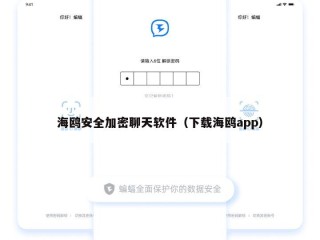 海鸥安全加密聊天软件（下载海鸥app）