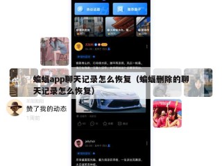 蝙蝠app聊天记录怎么恢复（蝙蝠删除的聊天记录怎么恢复）