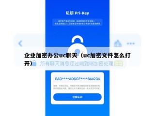企业加密办公uc聊天（uc加密文件怎么打开）