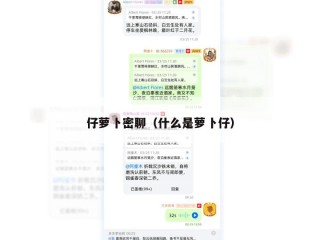 仔萝卜密聊（什么是萝卜仔）