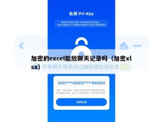 加密的excel能放聊天记录吗（加密xlsx）