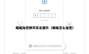 蝙蝠加密聊天实名图片（蝙蝠怎么加密）