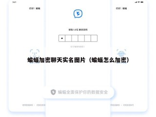 蝙蝠加密聊天实名图片（蝙蝠怎么加密）
