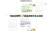飞船加密聊天（飞船加密聊天怎么设置）