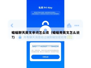 蝙蝠聊天英文单词怎么读（蝙蝠用英文怎么说?）