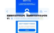 鲲鹏聊天软件安全吗（鲲鹏聊天软件安全吗知乎）