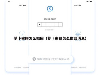 萝卜密聊怎么撤回（萝卜密聊怎么撤回消息）