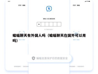 蝙蝠聊天有外国人吗（蝙蝠聊天在国外可以用吗）