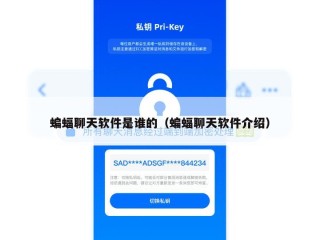 蝙蝠聊天软件是谁的（蝙蝠聊天软件介绍）