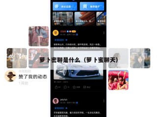 萝卜密聊是什么（萝卜蜜聊天）