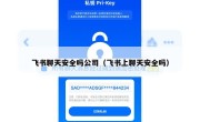 飞书聊天安全吗公司（飞书上聊天安全吗）