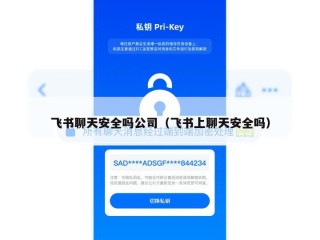 飞书聊天安全吗公司（飞书上聊天安全吗）