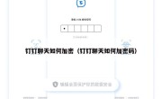 钉钉聊天如何加密（钉钉聊天如何加密码）