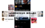 saylo聊天软件安全吗（聊天say是什么意思）