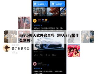 saylo聊天软件安全吗（聊天say是什么意思）
