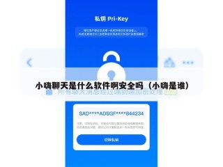 小嗨聊天是什么软件啊安全吗（小嗨是谁）