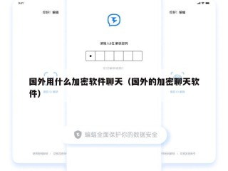 国外用什么加密软件聊天（国外的加密聊天软件）