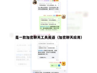 是一款加密聊天工具英语（加密聊天应用）