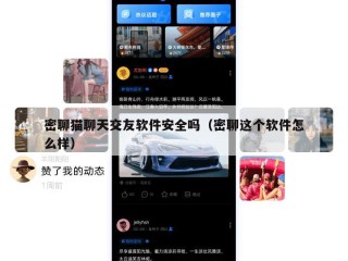 密聊猫聊天交友软件安全吗（密聊这个软件怎么样）