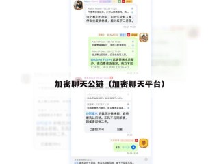 加密聊天公链（加密聊天平台）