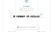 萝卜密聊操作（萝卜密怎么吃）