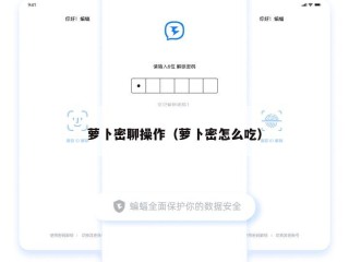 萝卜密聊操作（萝卜密怎么吃）