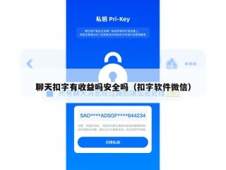 聊天扣字有收益吗安全吗（扣字软件微信）
