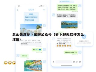 怎么关注萝卜密聊公众号（萝卜聊天软件怎么注销）