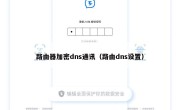 路由器加密dns通讯（路由dns设置）