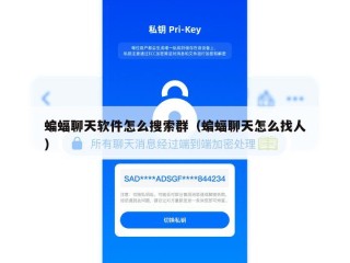 蝙蝠聊天软件怎么搜索群（蝙蝠聊天怎么找人）