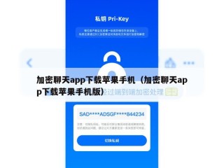 加密聊天app下载苹果手机（加密聊天app下载苹果手机版）