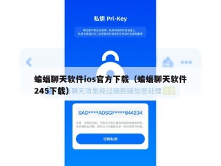 蝙蝠聊天软件ios官方下载（蝙蝠聊天软件245下载）