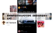 巅峰聊天软件安全吗可靠吗（巅峰软件是做什么的）