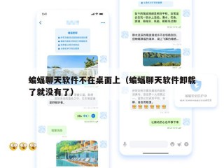 蝙蝠聊天软件不在桌面上（蝙蝠聊天软件卸载了就没有了）