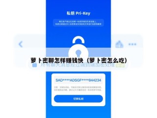 萝卜密聊怎样赚钱快（萝卜密怎么吃）