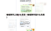 蝙蝠聊天上课什么意思（蝙蝠聊天是什么东西）