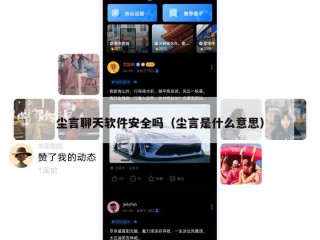 尘言聊天软件安全吗（尘言是什么意思）