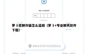 萝卜密聊诈骗怎么追回（萝卜+专业聊天软件下载）