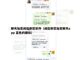聊天加密阅后即焚软件（阅后即焚加密聊天app 蓝色的图标）