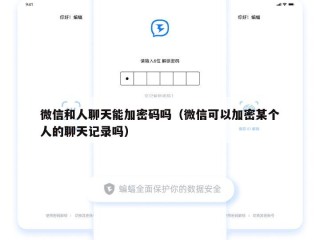 微信和人聊天能加密码吗（微信可以加密某个人的聊天记录吗）