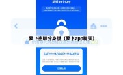 萝卜密聊分身版（萝卜app聊天）