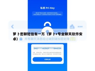 萝卜密聊短信有一万（萝卜+专业聊天软件安卓）